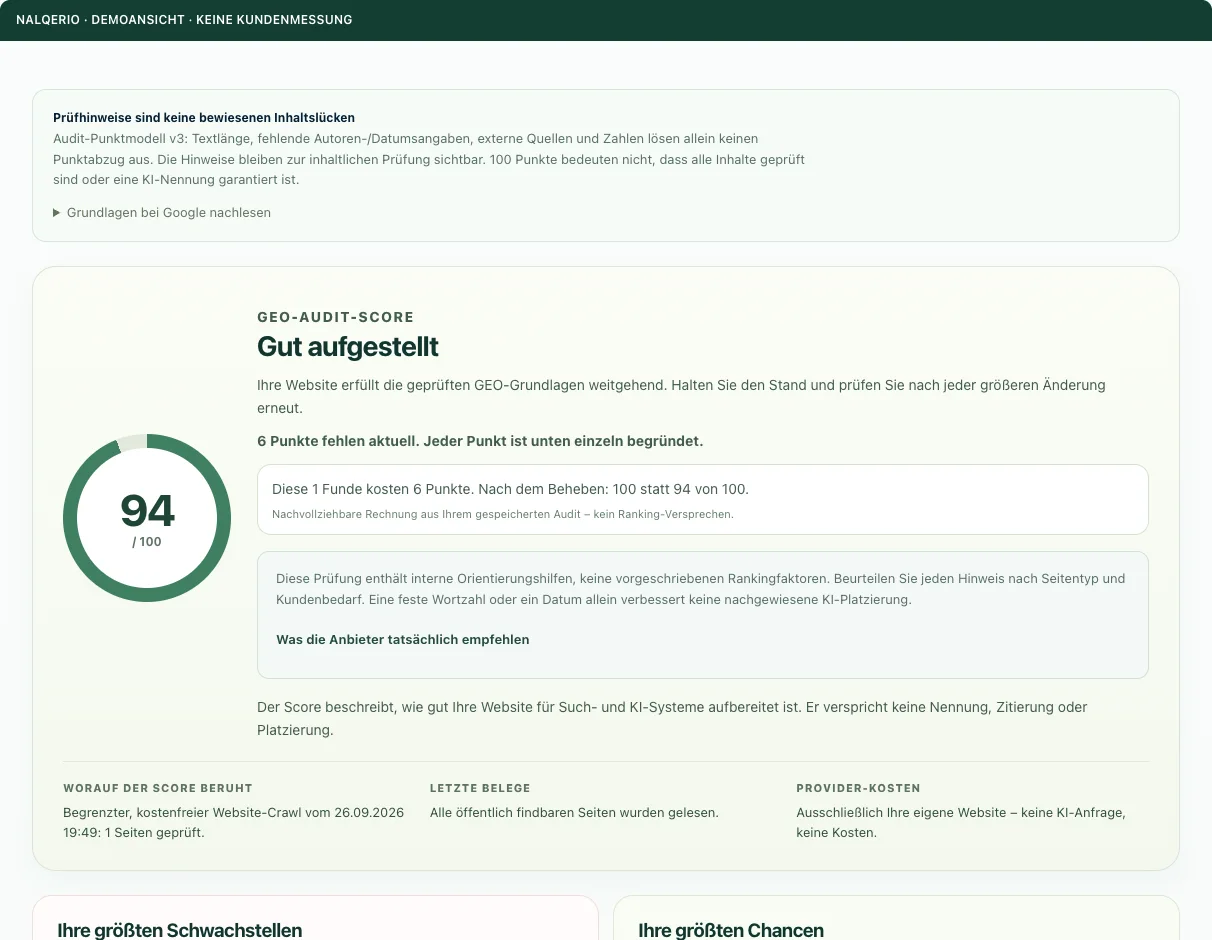 Website-Audit — Demoansicht · Beispieldaten, keine Kundenmessung