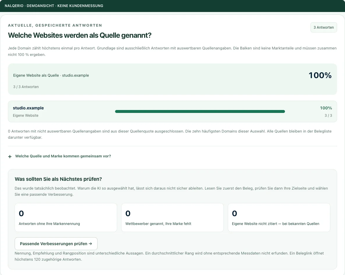 Anonymisierte Demo der Quellenanalyse mit eigener Website, Quellenhäufigkeit und auswertbarer Datenbasis.